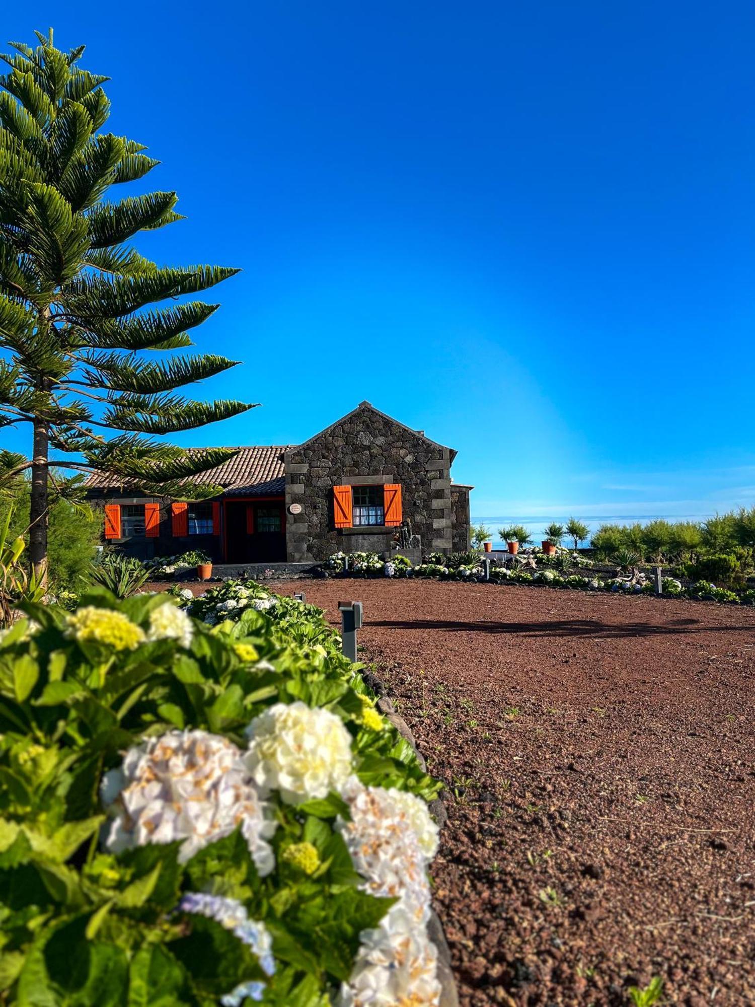 Casa Baleia Laranja Ocean-Front Madalena (Azores) Exterior foto
